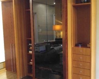 Exotic woods wall unit