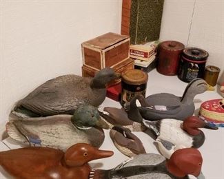 Duck carvings and decoys