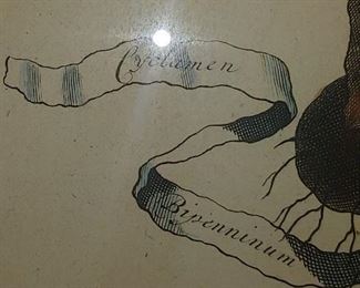 "This highly decorative, folio botanical engraving is from Abraham Munting's Naauwkeurige Beschryving der Aardgewassen.... The work was published by Pieter vander Aa and Francois Halma Utrecht and Leiden in 1696. The work found popularity due to the new design of the images which featured the plants against charming landscape backgrounds. 

"Each plate shows a different plant in flower, including many exotic species from America and other distant lands. The plant dominates the foreground, filling the entire page, often with a detail of the fruit or the flowers presented on a smaller scale. In some cases the plants are presented à trompe l'oeil, while in others they have been arranged in decorated urns. Sometimes gardening tools are depicted as well. The name of each plant appears written on an elegantly fluttering ribbon or cartouche, or on a crumbling marble plaque. The originality of the work lies, however, in the small landscapes that have been inserted into the background of the pl