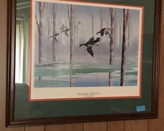 Bruce G Heard duck print -- signed and numbered