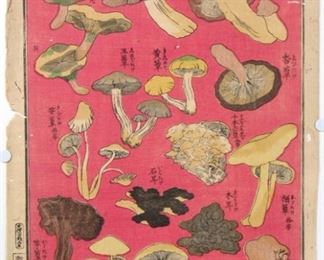 Chart of Edible Japanese Mushroom Types