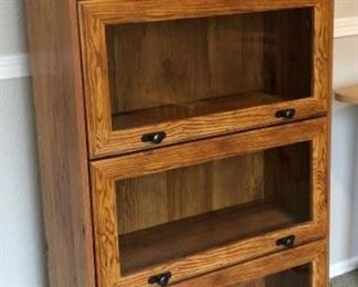 Library Bookcase (2) 