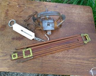 HANSON TRAP-BRACE SCALE