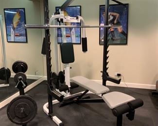 PARABODY FITNESS DEVICE; ASSORTED WEIGHTS TO ACCOMPANY PARABODY FITNESS DEVICE (FLAT BENCH NOT INCLUDED)