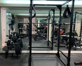 53. SQUATTING RACK WITH BAR & WEIGHT SET PICTURED TO THE LEFT OF SQUAT RACK
