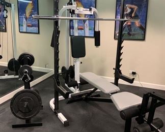 51. PARABODY FITNESS ALL IN ONE GYM WITH ACCESSORIES & ROUND FREE WEIGHTS (FLAT BENCH NOT INCLUDED)