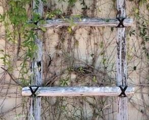 Yard Art: Ladder, Butterfly 