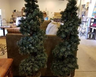 Four Lighted Outdoor Trees