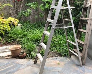 2 ladders - tall pot sold