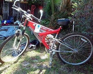 mountain bike