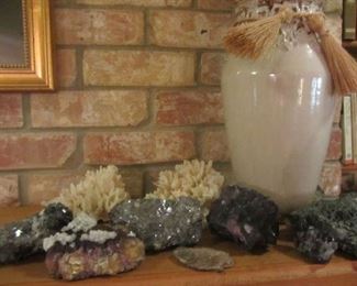 A few of the rocks, shells, there are many more!