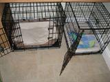Just a sample of ons of dog items up for sale. MANY crates like these must go!