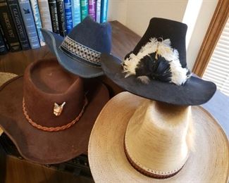Men's Western and other Hats