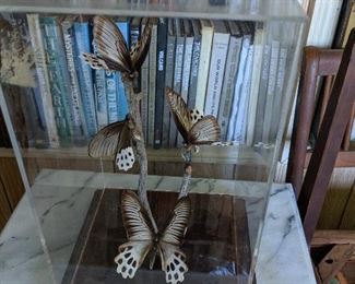 Butterfly display box