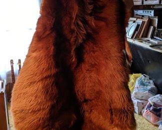 Animal hide