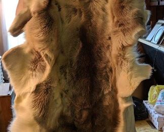 Animal hide