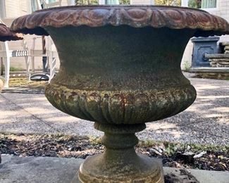 We have at least 2 of these babies!