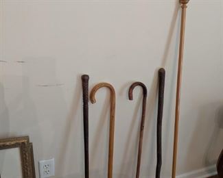 Walking sticks