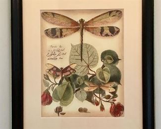 Vintage-style botanical prints