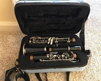 Beautiful clarinet & modern carrying case. 