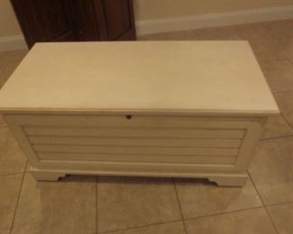 Storage Trunk