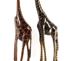 2 giraffes