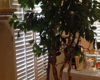 Artificial ficus