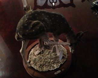 Signed art of a fawn - made in Italy (as is)