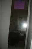 Trifold Mirror (could be used as a door)