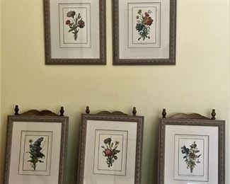 Framed botanical prints