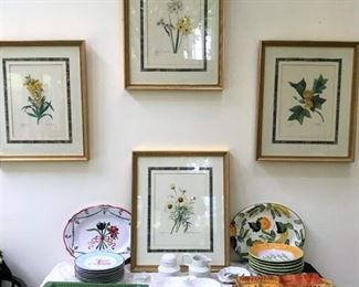 Another framed set of historical botanical prints