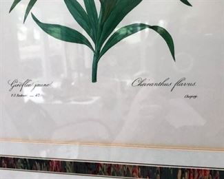 Detail on one of another framed set of historical botanical prints