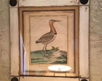 Lots of prints, lithographs, watercolors of birds