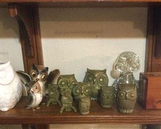Owls & More!