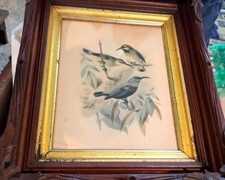 Gorgeous Frame with Bird Print