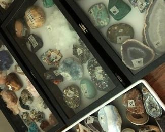 Some of the many mineral specimens.