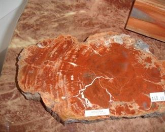 Petrified Wood