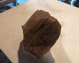 Petrified wood