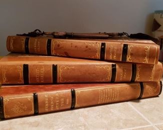 Many books through out the home