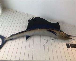 Mounted Marlin Fish