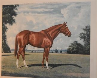 Framed Horse Racing Print (Secretariat), Signed & Numbered
