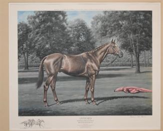 Framed Horse Racing Print (Affirmed), Signed and Numbered