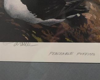 Framed Puffins Print, Signed