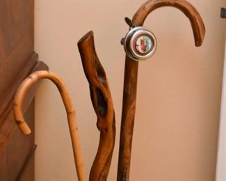 Canes & Walking Stick