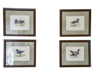 102. Set of Four 4 Duck Prints