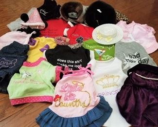 Small doggie clothes....Several sets and adorable!