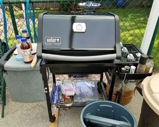 Weber BBQ