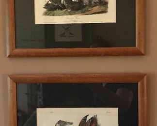 Pair of first edition octavo size John James Audubon hand colored lithographs 