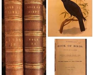 Cassell’s Book Of Birds, in two volumes, by Thomas Ryner Jones, 1870’s.