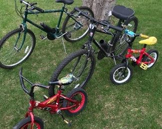Adult and Children’s Biked